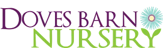 Doves Barn Nursery